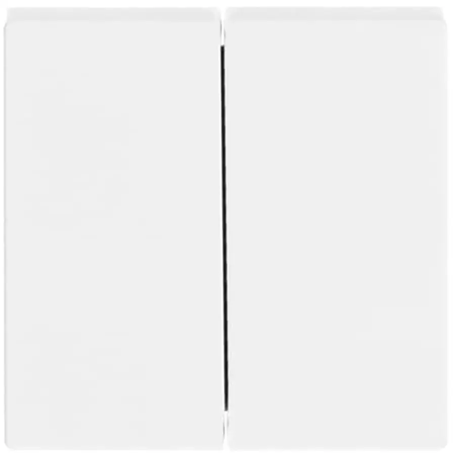 Busch-Jaeger schakelwip 2-voudig Future Linear studiowit glans (1785-84)