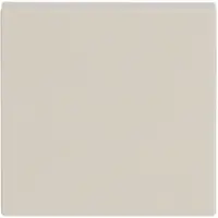 Busch-Jaeger schakelwip enkel Future Linear creme (1786-82)