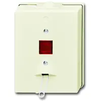 Busch-Jaeger trekschakelaar 2-polig met controleverlichting opbouw AP plus creme (2616/2 j-101)