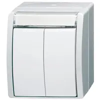 Busch-Jaeger tkstplsdrkkr dbbl ip44 alp (2621 WN-54-205-101)