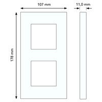 Busch-Jaeger afdekraam 2-voudig Carat chroom (1722-826-101)