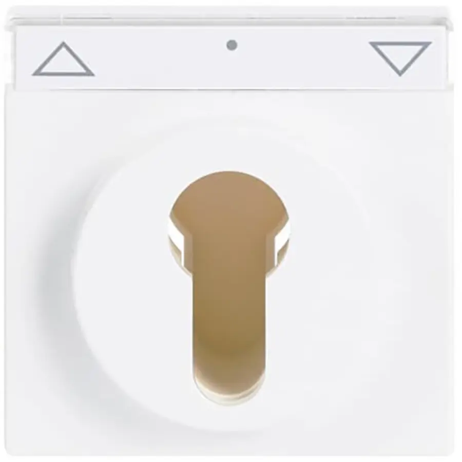 Busch-Jaeger cpl slot s-studiowit (1755 SL/PZ-84-101)