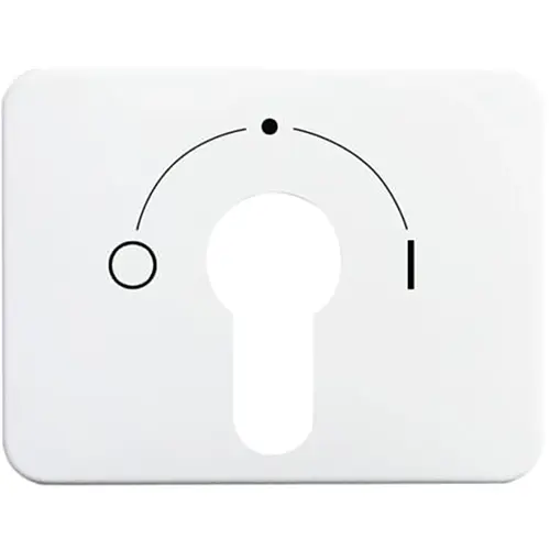 Busch-Jaeger cpl slot 2733usl101 alb/wt (1755 SLPZ-24G-101)