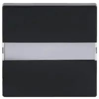 Busch-Jaeger schakelwip tekstkader met controlevenster Future Linear antraciet glans (1764 NLI-81)