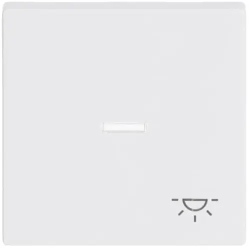 Busch-Jaeger schakelwip controlevenster symbool licht Future Linear studiowit glans (1789 LI-84)