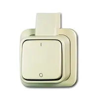 Busch-Jaeger schakelaar 2-polig opbouw creme AP plus (2601/2 APJ)