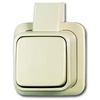 Busch-Jaeger wisselschakelaar K/P-25 opbouw AP plus creme (2601/6 APJ)