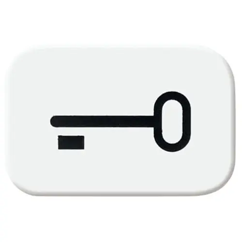 Busch-Jaeger sleutelsymbool r-alpin (2525 TR-214) Busch-Jaeger sleutelsymbool r-alpin (2525 TR-214)