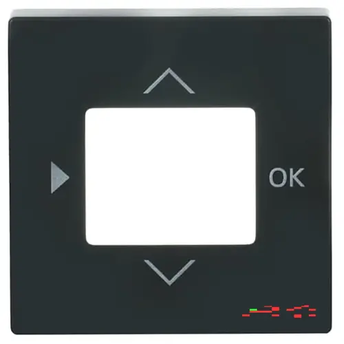 Busch-Jaeger centraalplaat voor timer en thermostaat Future Linear antraciet glans (6435-81)