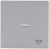 Busch-Jaeger schakelwip controlevenster symbool licht symbool Future Linear aluzilver (1789 LI-83)