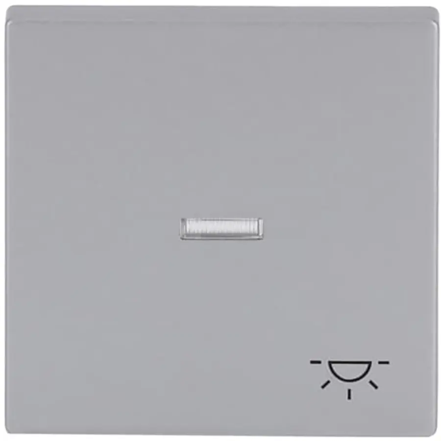 Busch-Jaeger schakelwip controlevenster symbool licht symbool Future Linear aluzilver (1789 LI-83)