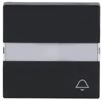 Busch-Jaeger schakelwip controlevenster symbool sleutel Future Linear antraciet glans (1789 TR-81)