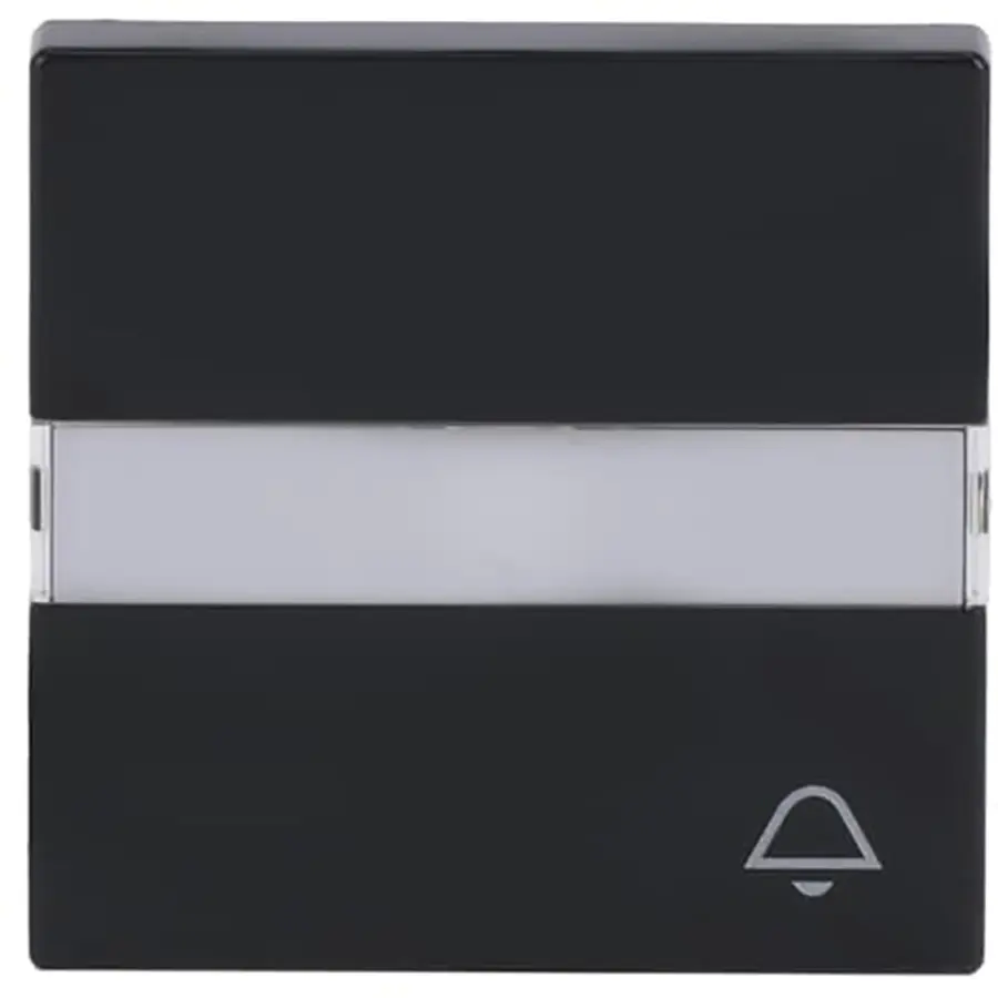 Busch-Jaeger schakelwip controlevenster symbool sleutel Future Linear antraciet glans (1789 TR-81)