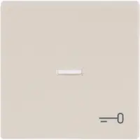 Busch-Jaeger schakelwip controlevenster symbool sleutel Future Linear creme (1789 TR-82)