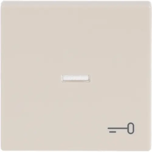 Busch-Jaeger schakelwip controlevenster symbool sleutel Future Linear creme (1789 TR-82)