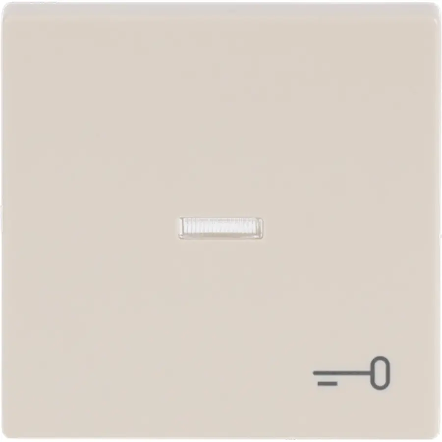 Busch-Jaeger schakelwip controlevenster symbool sleutel Future Linear creme (1789 TR-82)