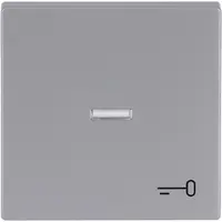 Busch-Jaeger schakelwip controlevenster symbool sleutel Future Linear aluzilver (1789 TR-83)