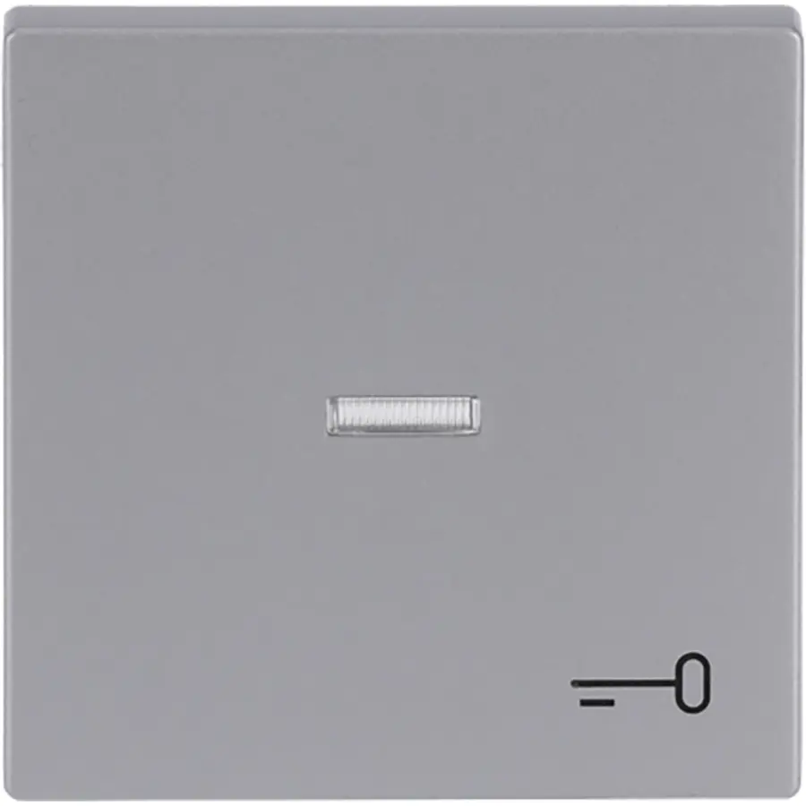 Busch-Jaeger schakelwip controlevenster symbool sleutel Future Linear aluzilver (1789 TR-83)