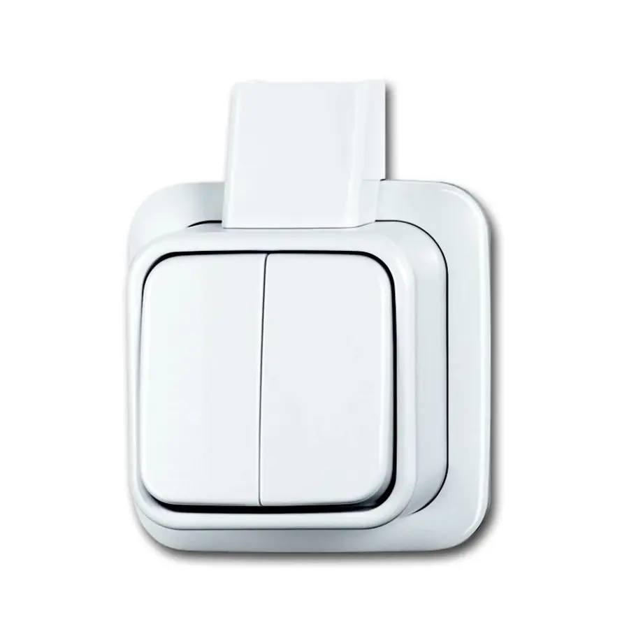 Busch-Jaeger serieschakelaar K/P-25 opbouw AP plus wit (2601/5 apjw)