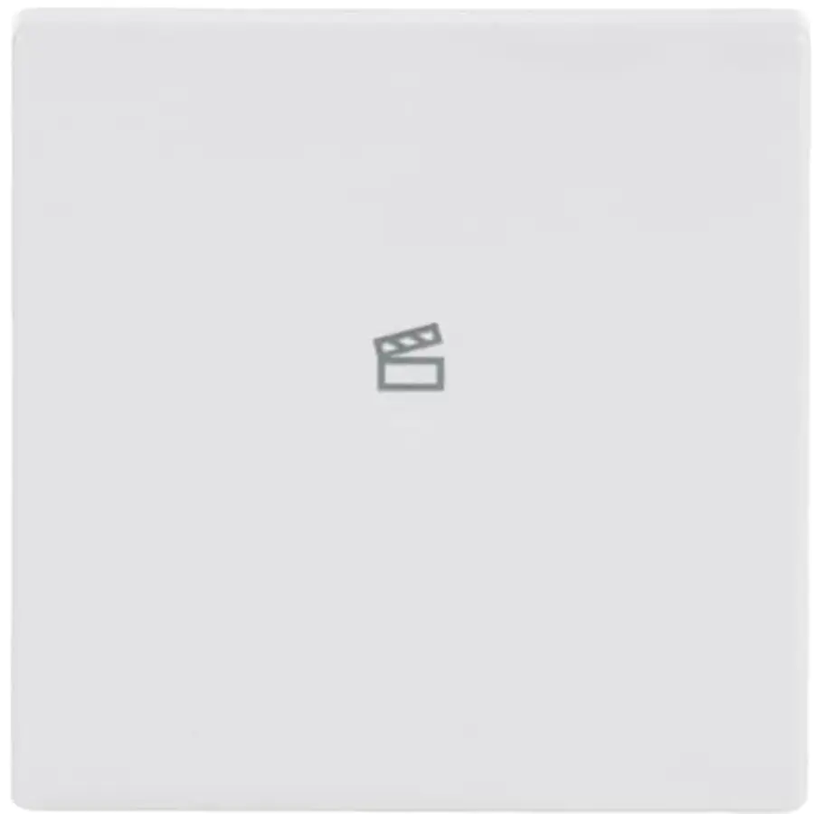 Busch-Jaeger bedieningswip 1-voudig met symbool scene tbv bedieningselement flex Future Linear studiowit glans (6233-10-84)