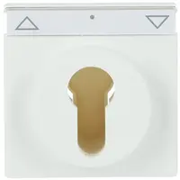 Busch-Jaeger cpl slot f-matwit (1755 SL/PZ-884-101)