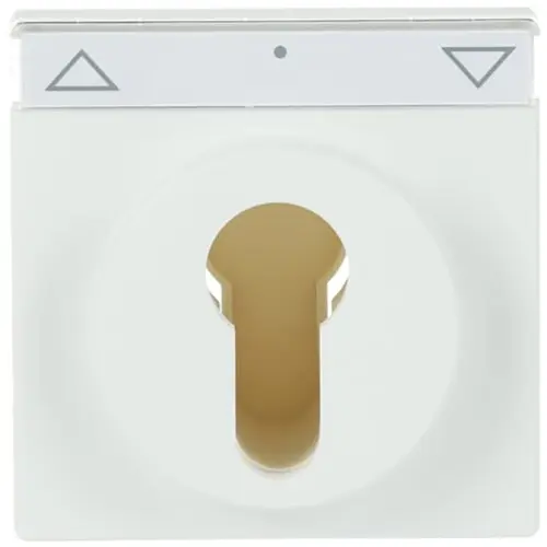 Busch-Jaeger cpl slot f-matwit (1755 SL/PZ-884-101)