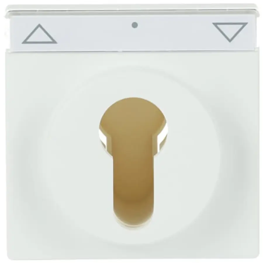 Busch-Jaeger cpl slot f-matwit (1755 SL/PZ-884-101)