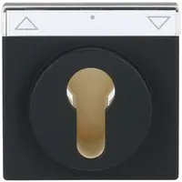 Busch-Jaeger cpl slot f-matzwart (1755 SL/PZ-885-101)