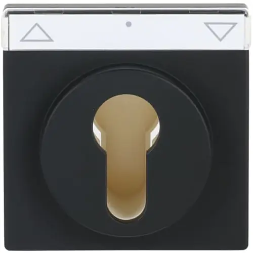 Busch-Jaeger cpl slot f-matzwart (1755 SL/PZ-885-101) Busch-Jaeger cpl slot f-matzwart (1755 SL/PZ-885-101)