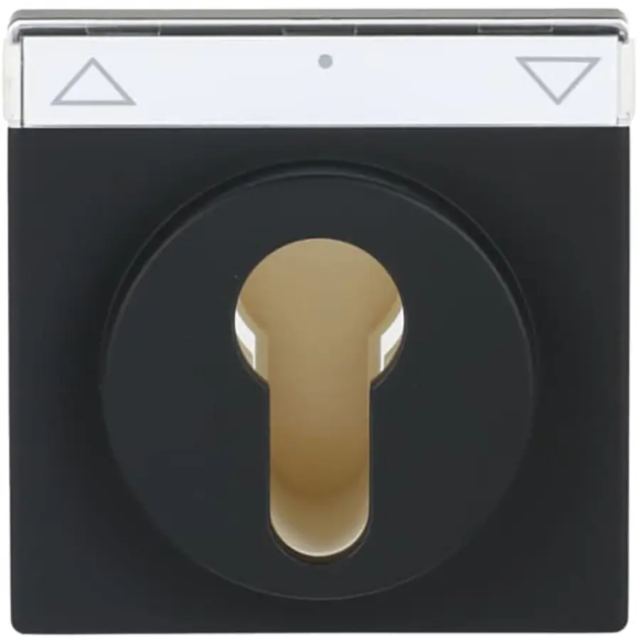 Busch-Jaeger cpl slot f-matzwart (1755 SL/PZ-885-101)