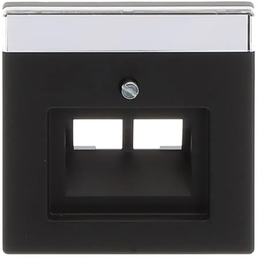 Busch-Jaeger centraalplaat RJ45 wandcontactdoos 2-voudig zwart mat (1803-02-885)