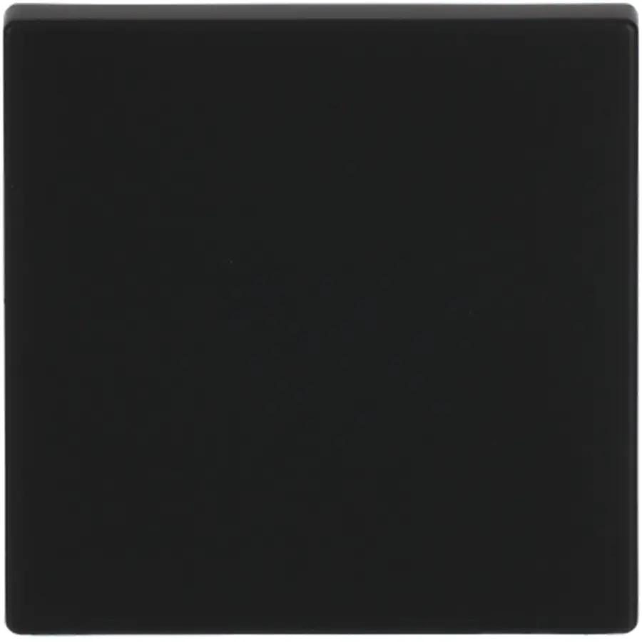 Busch-Jaeger schakelwip Future Linear zwart mat (1786-885)