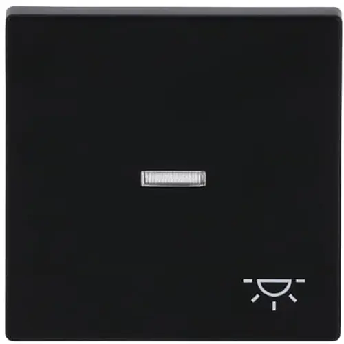 Busch-Jaeger schakelwip controlevenster symbool licht Future Linear zwart mat (1789 LI-885)