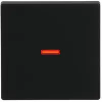 Busch-Jaeger schakelwip controlevenster rood Future Linear zwart mat (1789-885)