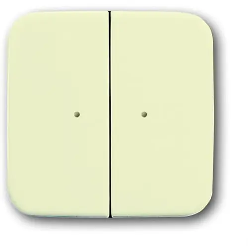 Busch-Jaeger wandzend 2k 6732-212 si wl (6732-212-500)