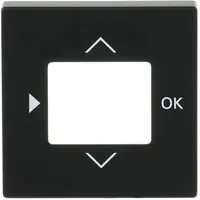 Busch-Jaeger centraalplaat voor timer en thermostaat zwart mat (6435-885)