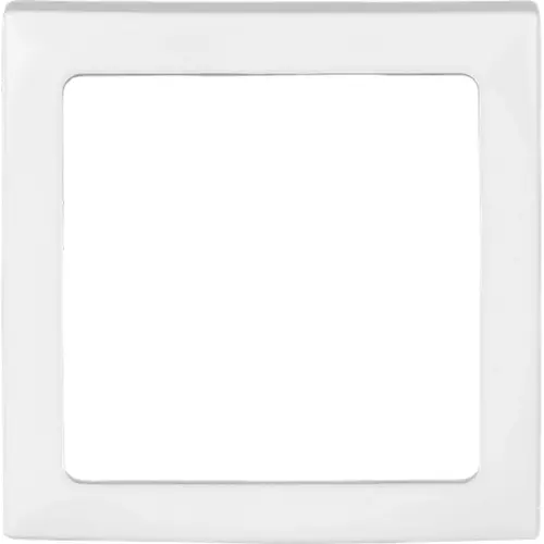 Busch-Jaeger inzpl infoli bsi (2562-914)
