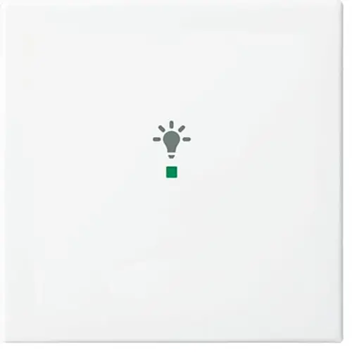 Busch-Jaeger bedieningswip 1-voudig met symbool licht Balance SI (6231-10-914)