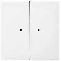 Busch-Jaeger radio freq 6730-0-0093 (6732-914)