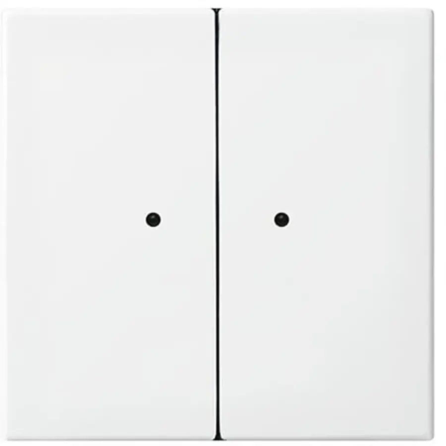 Busch-Jaeger radio freq 6730-0-0093 (6732-914)