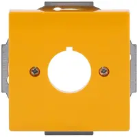 Busch-Jaeger cpl bor 22.5mm geel future (2533-82-15)