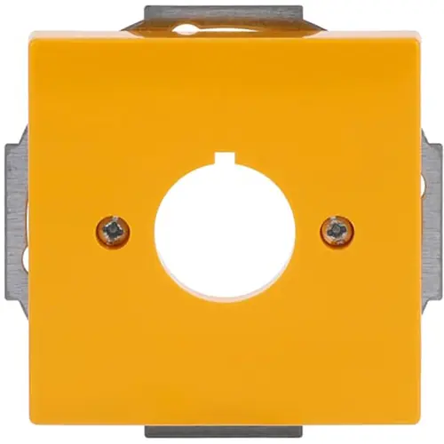 Busch-Jaeger cpl bor 22.5mm geel future (2533-82-15) Busch-Jaeger cpl bor 22.5mm geel future (2533-82-15)