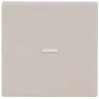 Busch-Jaeger schakelwip controlevenster klein Future Linear creme (1789 N-82)