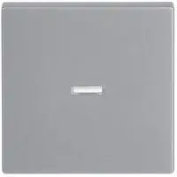 Busch-Jaeger schakelwip controlevenster transparant Future Linear aluzilver (1789 N-83)