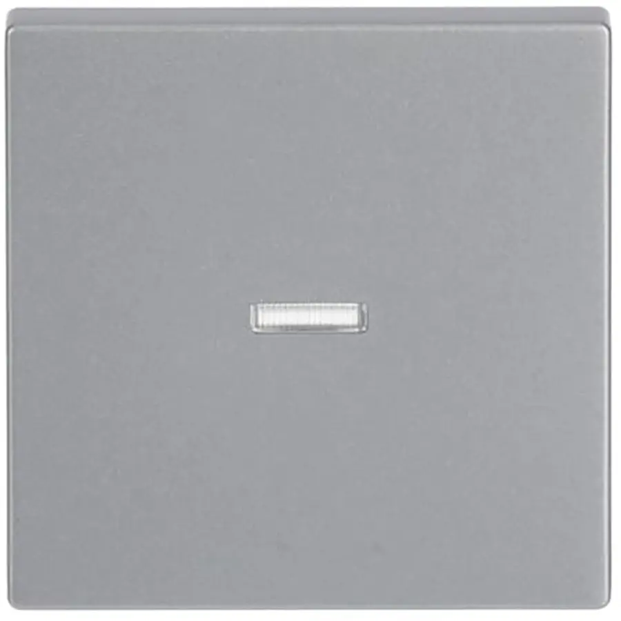 Busch-Jaeger schakelwip controlevenster transparant Future Linear aluzilver (1789 N-83)