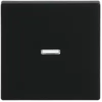 Busch-Jaeger schakelwip controlevenster Future Linear zwart mat (1789 N-885)