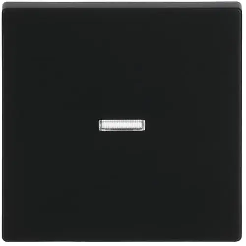 Busch-Jaeger schakelwip controlevenster Future Linear zwart mat (1789 N-885)