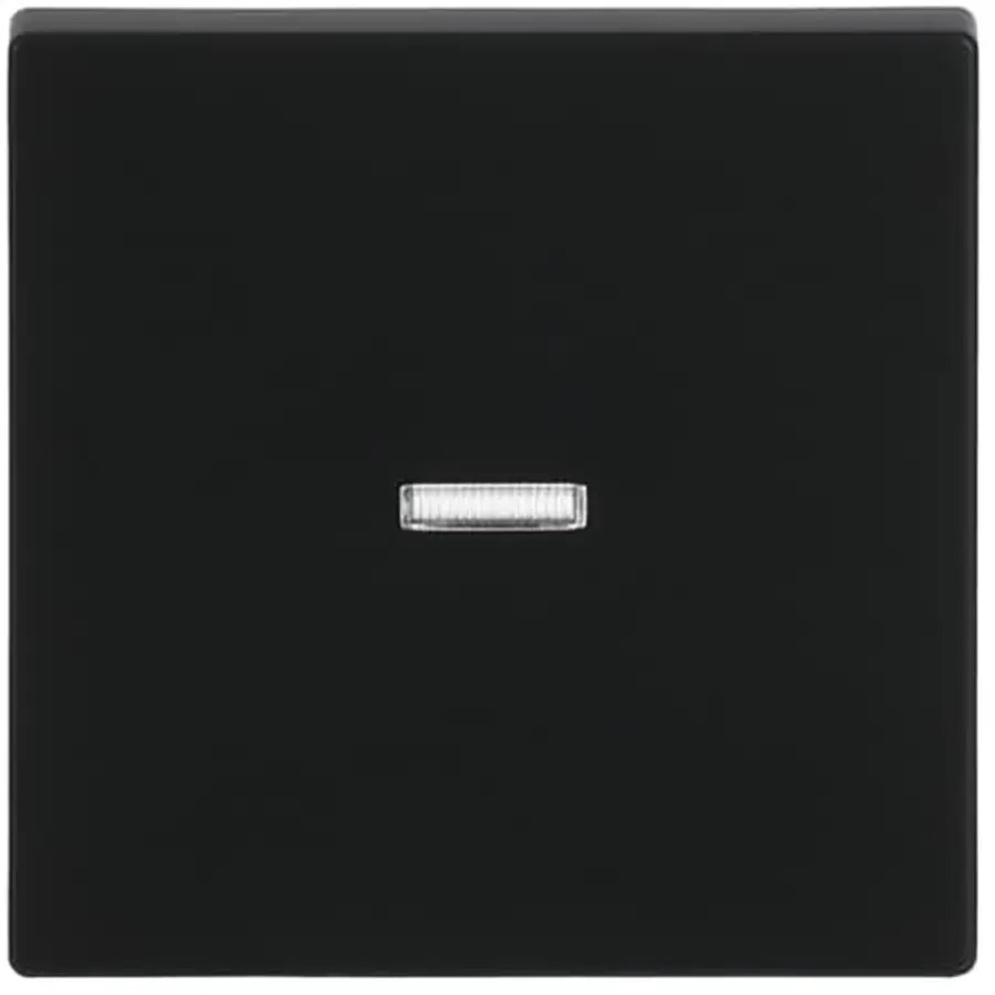 Busch-Jaeger schakelwip controlevenster Future Linear zwart mat (1789 N-885)