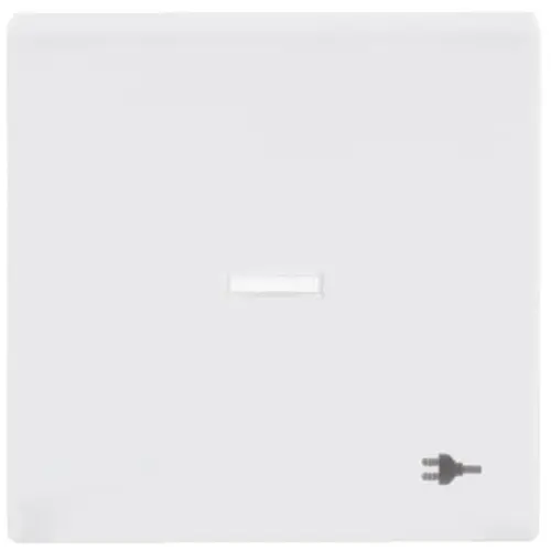 Busch-Jaeger schakelwip controlevenster symbool stekker Future Linear studiowit glans (1789 ST-84)