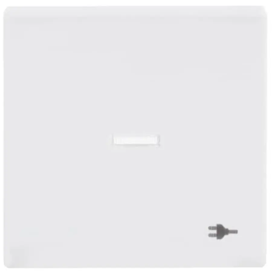 Busch-Jaeger schakelwip controlevenster symbool stekker Future Linear studiowit glans (1789 ST-84)